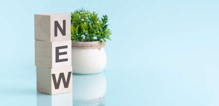 NEW-text on wooden cubes, on a blue background. In the background, a green plant in a white pot....