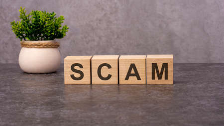 the word scam of wooden cubes on a gray background. close-up of wooden elements. In the background is a green flowerの写真素材