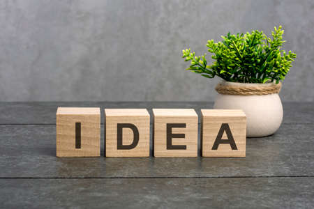 the idea word is written on wooden cubes on a gray background. close-up of wooden elements. In the background is a green flower in a tubの写真素材