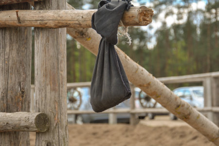 a walnuts hang in a green net bag are drying on windy place.