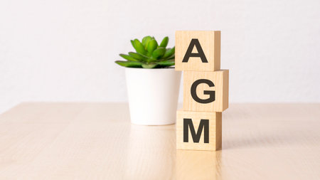 AGM - annual general meeting - acronym on wooden cubes on wooden backround. business concept.の写真素材