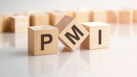 word PMI made with wood building blocks, background may have blur effectの写真素材