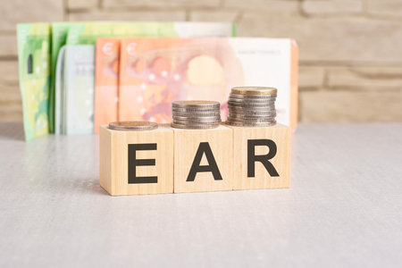 business concept. On a gray surface, dollars and wooden blocks with the inscription - EAR - short for Export Administration Regulationの写真素材