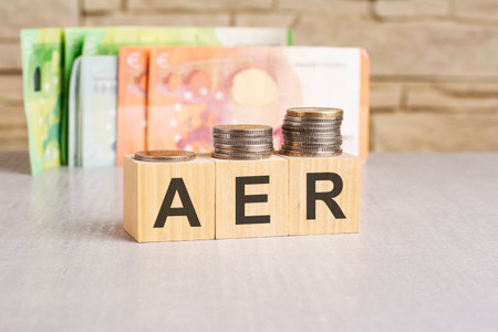 business concept. On a gray surface, dollars and wooden blocks with the inscription - AER - short for Annual Equivalent Rateの写真素材