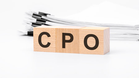 CPO wooden blocks word on white background. CPO - short for Cost Per Order, business conceptsの写真素材