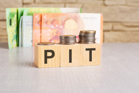 business concept. On a gray surface, banknotes euro and wooden blocks with the inscription - PIT - short for Personal Income Taxの写真素材