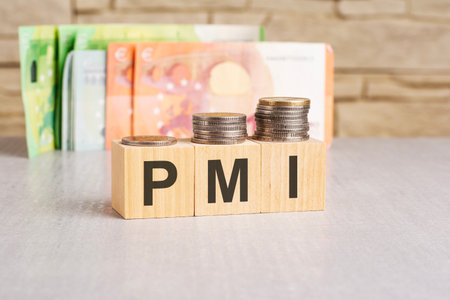 business concept. On a gray surface, euro banknotes and wooden blocks with the inscription - PMI - short for Project Management Instituteの写真素材