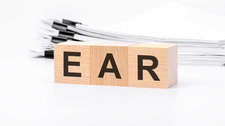 ear wooden cubes word on white background. ear - Export Administration Regulation conceptsの写真素材
