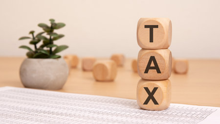 Wooden blocks spell "TAX" on a desk with a spreadsheet and a plant, symbolizing financeの写真素材