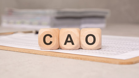 Wooden cubes forming the acronym "CAO" placed on a financial document in an office settingの写真素材