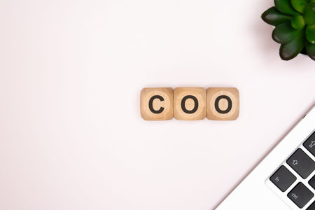 COO Chief Operating Officer word on wooden blocks. Top view office desk with laptop and plant. Corporate executive management concept.