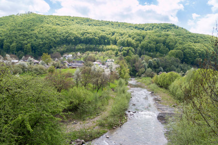 landscape with mountains trees and a river in front