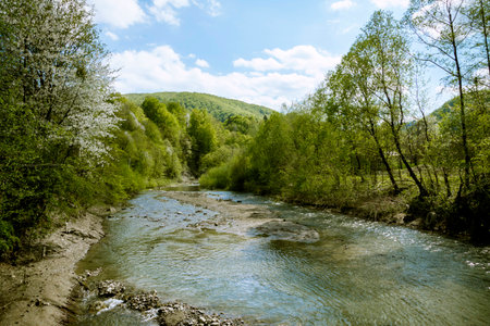 landscape with mountains trees and a river in frontの写真素材