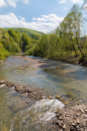 landscape with mountains trees and a river in front