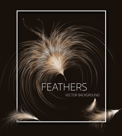 Vector illustration of feathers.  
Stylish black background, Ñover template or flyer design.のイラスト素材
