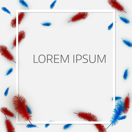 Vector illustration of  colorful  exotic feathers.  
Stylish  white background, ?over template or flyer designのイラスト素材