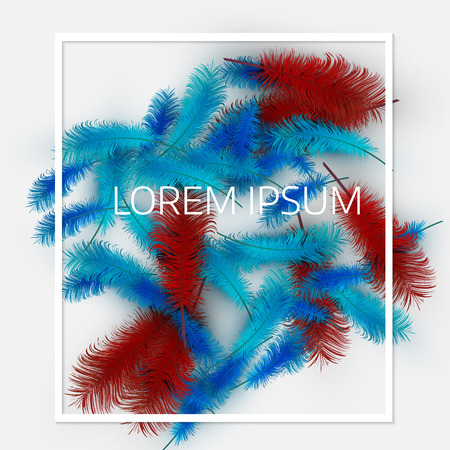 Vector illustration of  colorful  exotic feathers.  
Stylish  white background, ?over template or flyer designのイラスト素材
