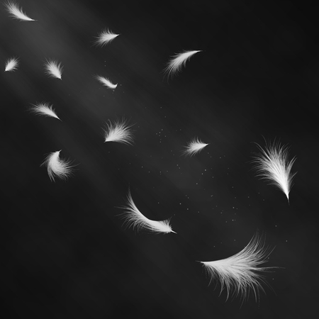 Realistic 3d detailed white swan feathers on a black background. Vector illustration. Falling feathers abstract light compositionのイラスト素材