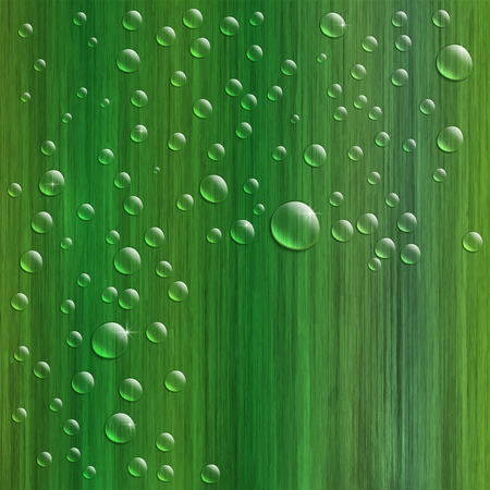 Water drops on fresh green grass, realistic illustration.のイラスト素材