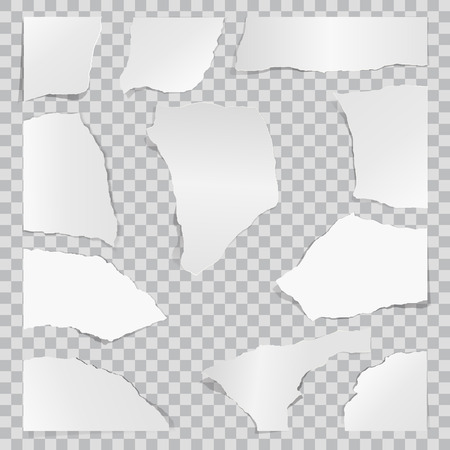 Paper torn to pieces. Scrap paper. Web banner background.のイラスト素材