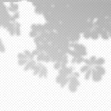 Realistic Vector transparent overlay blured shadow of branch leaves.