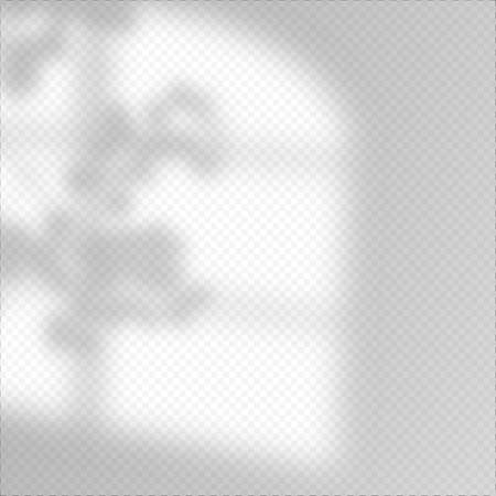 Modern shadow overlay, great design for any purposes. Blurred soft shadow from the window and branches of plants outside the windowのイラスト素材