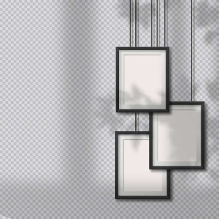 Pictures, photo frames on light wall with soft overlay shadows from window and plants outside.のイラスト素材