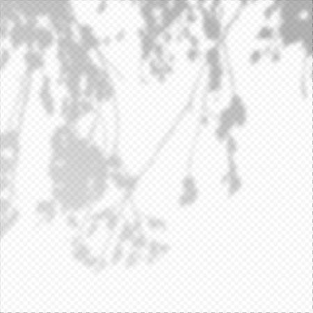 Realistic Vector transparent overlay blured shadow of branch leaves.のイラスト素材