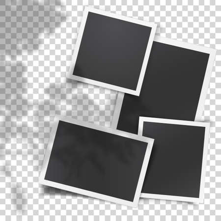 Realistic vector set of vintage photo templates with shadow overlay from the window and plants outside the windowのイラスト素材