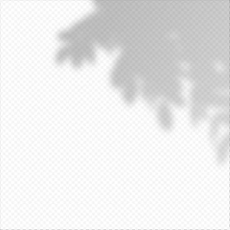 Realistic Vector transparent overlay blured shadow of branch leaves.のイラスト素材