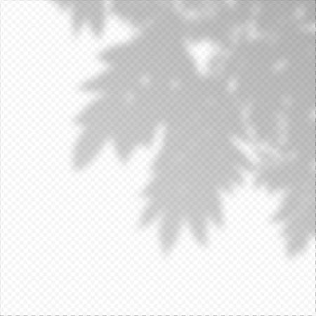 Realistic Vector transparent overlay blured shadow of branch leaves.のイラスト素材