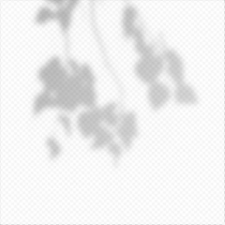 Realistic Vector transparent overlay blured shadow of branch leaves.のイラスト素材