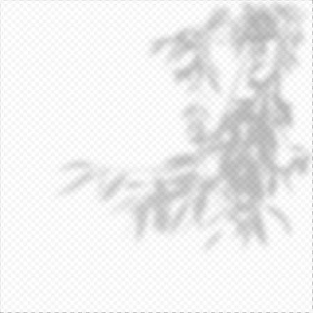 Realistic Vector transparent overlay blured shadow of branch leaves.のイラスト素材