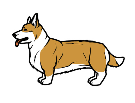 Welsh Corgi dog in profile.のイラスト素材