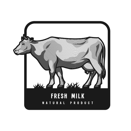 Farm dairy cow.のイラスト素材