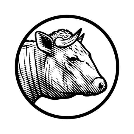 Bull head logo in engraved style. Vector illustration.のイラスト素材