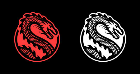 Dragon logo in a round shape. on a dark background. Vector illustration.のイラスト素材