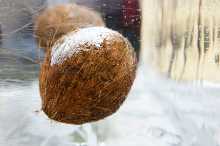 Coconut frozen in the ice in the middle of the urban summerの写真素材