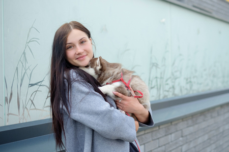 portrait of a young women with a husky puppiesの写真素材