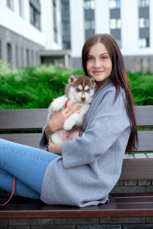 Beautiful young woman sitting on wooden bench and enjoy with her cute little husky puppyの写真素材