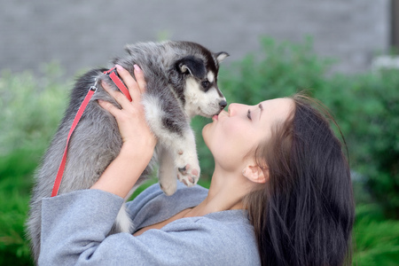 Smiling woman holding cute husky puppyの写真素材
