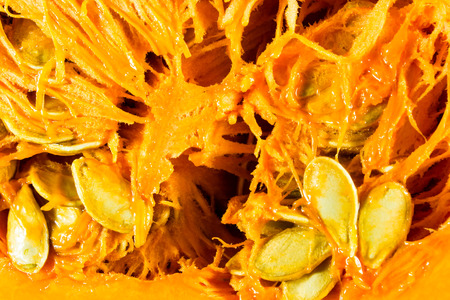 Pumpkin insideの写真素材