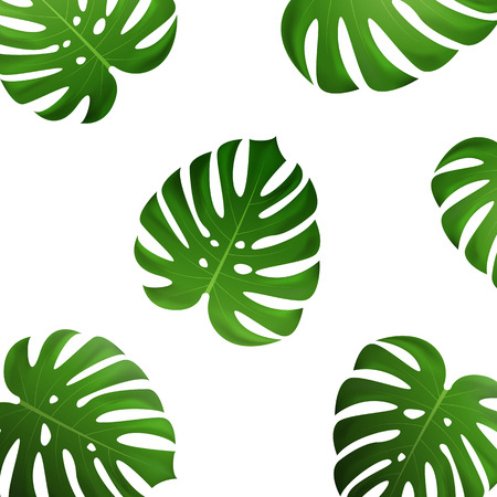 Tropical palm leaves. Vector exotic monstera leavesのイラスト素材