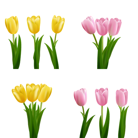Tulips. Pink and yellow vector tulips bouquet isolated. Flowers in different shapesのイラスト素材