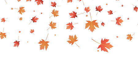 Vector leaves background. Falling autumn maple leaves banner templateのイラスト素材