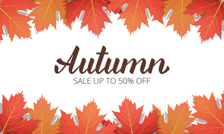 Autumn sale. Banner with maple leaves frame and trendy Autumn brush lettering. Seasonal Fall sale cardの写真素材