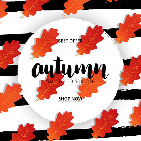Autumn. Sale banner with trendy brush stripes, Autumn hand lettering and fall oak leavesの写真素材