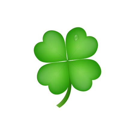 Clover. Realistic four leaf clover for Saint Patrick's Day.のイラスト素材
