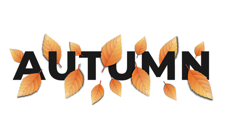 Autumn. Background of Autumn typography and trendy fall leaves.のイラスト素材