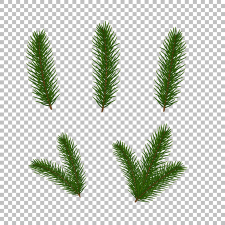 Fir tree branches. Isolated Christmas tree brancher. Realistic winter seasonal decorations.のイラスト素材